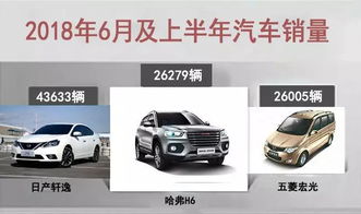 6月及上半年汽车零配件零售升温，消费趋势与头部品牌表现解读