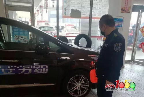 汽车销售企业有序复工，线上线下并举体验2020新款车型与零配件零售